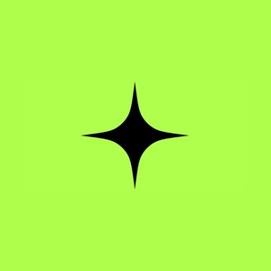 raizer brand logo for raizer.app