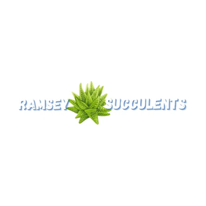 ramseysucculents brand logo for ramseysucculents.com