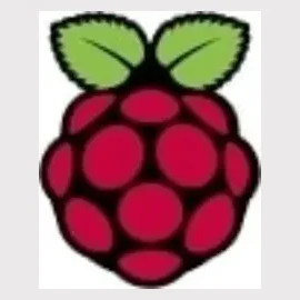 raspberrypi brand logo for raspberrypi.org