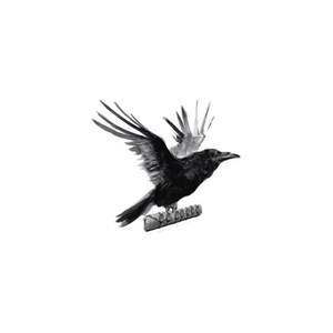 ravenroute brand logo for ravenroute.com