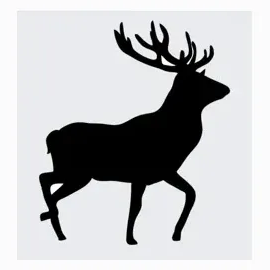 rawwoodshades brand logo for rawwoodshades.com