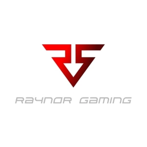 raynorgaming brand logo for raynorgaming.com