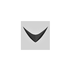 rayvn brand logo for rayvn.global