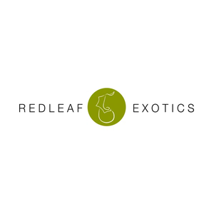 redleafexotics brand logo for redleafexotics.com