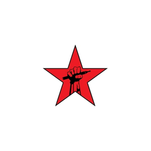 redstarvapor brand logo for redstarvapor.com