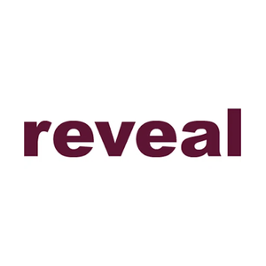 revealdata brand logo for revealdata.com
