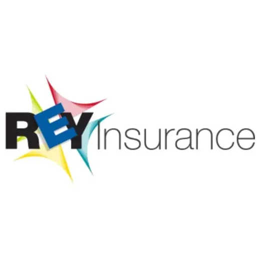 reyinsurance brand logo for reyinsurance.com