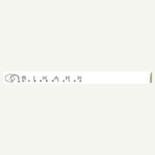 rimann brand logo for rimann.com