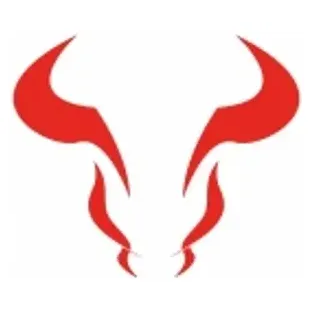 riotoro brand logo for riotoro.com