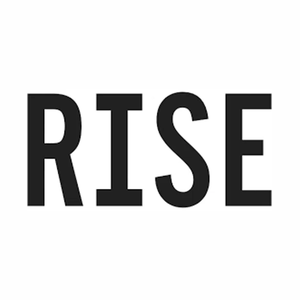 rise311 brand logo for rise311.com