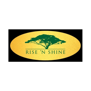 risenshineonline brand logo for risenshineonline.com