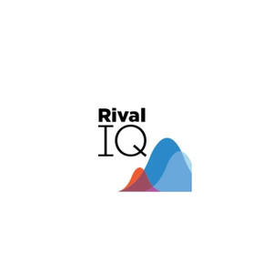 rivaliq brand logo for rivaliq.com