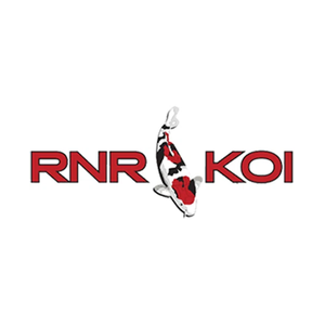 rnrkoi brand logo for rnrkoi.com