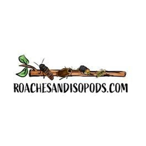 roachesandisopods brand logo for roachesandisopods.com