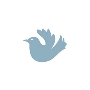 robinannmeyer brand logo for robinannmeyer.com
