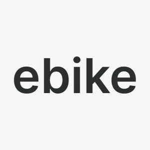 roinbike brand logo for roinbike.com
