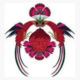 roopapemmaraju brand logo for roopapemmaraju.com