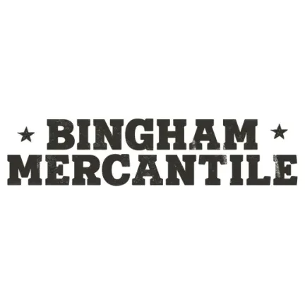 ryanbinghamstore brand logo for ryanbinghamstore.com