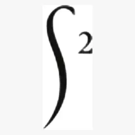 s2curve brand logo for s2curve.com