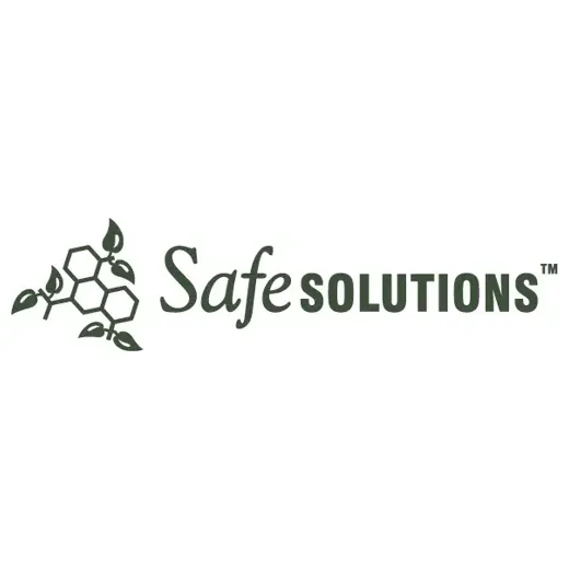 safesolutions brand logo for safesolutions.com