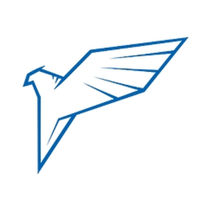 sales-hawk brand logo for sales-hawk.com