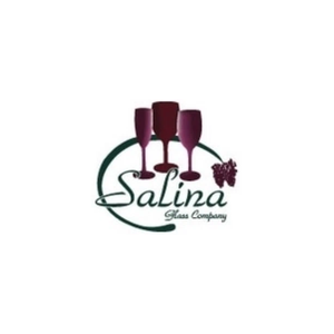 salinaglass brand logo for salinaglass.com