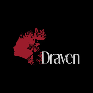 salondraven brand logo for salondraven.com