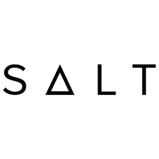 saltlending brand logo for saltlending.com