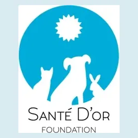 santedor brand logo for santedor.org
