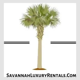savannahluxuryrentals brand logo for savannahluxuryrentals.com