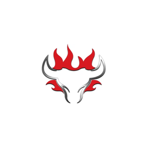 schwankgrills brand logo for schwankgrills.com