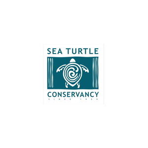 Sea Turtle Conservancy brand logo for conserveturtles.org