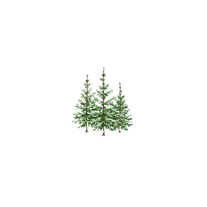 seasonsreflection brand logo for seasonsreflection.com