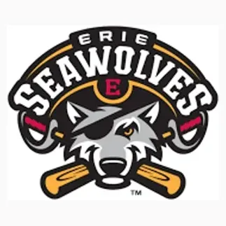 Milbstore brand logo for seawolves.milbstore.com