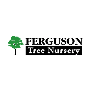 seedlingnursery brand logo for seedlingnursery.com