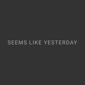 seemslikeyesterdayct brand logo for seemslikeyesterdayct.com