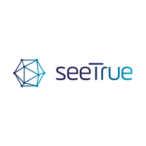 seetrue brand logo for seetrue.ai