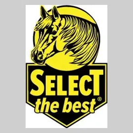 selectthebest brand logo for selectthebest.com