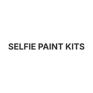 selfiepaintkits brand logo for selfiepaintkits.com