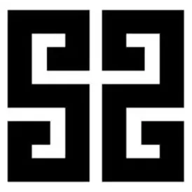 selfiestyler brand logo for selfiestyler.com