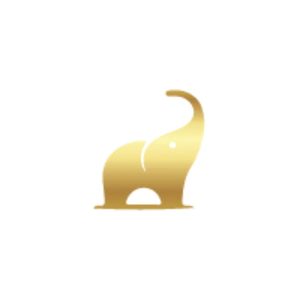 sendralli brand logo for sendralli.com