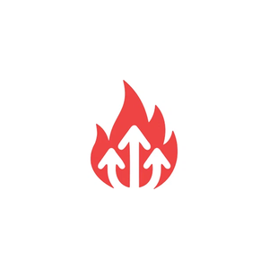 seoroast brand logo for seoroast.co