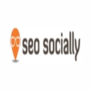 seosocially brand logo for seosocially.com