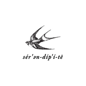 serendipity12th brand logo for serendipity12th.com