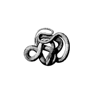 serpentiapparel brand logo for serpentiapparel.com