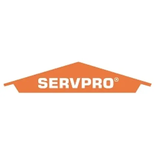 servpro brand logo for servpro.com