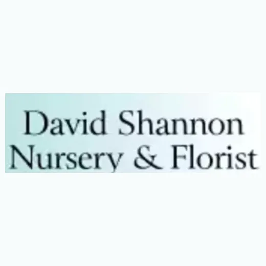 shannonflorist brand logo for shannonflorist.com