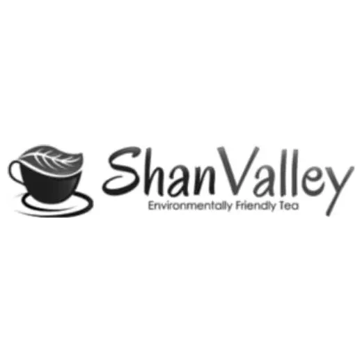 shanvalley brand logo for shanvalley.com