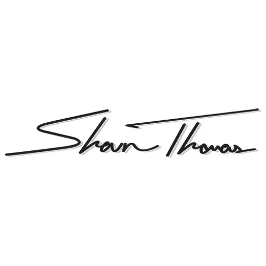 shaunthomasart brand logo for shaunthomasart.com