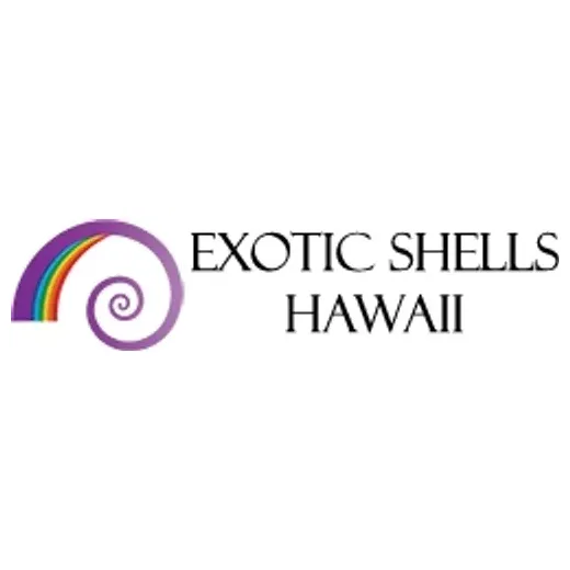 shellstorehawaii brand logo for shellstorehawaii.xyz